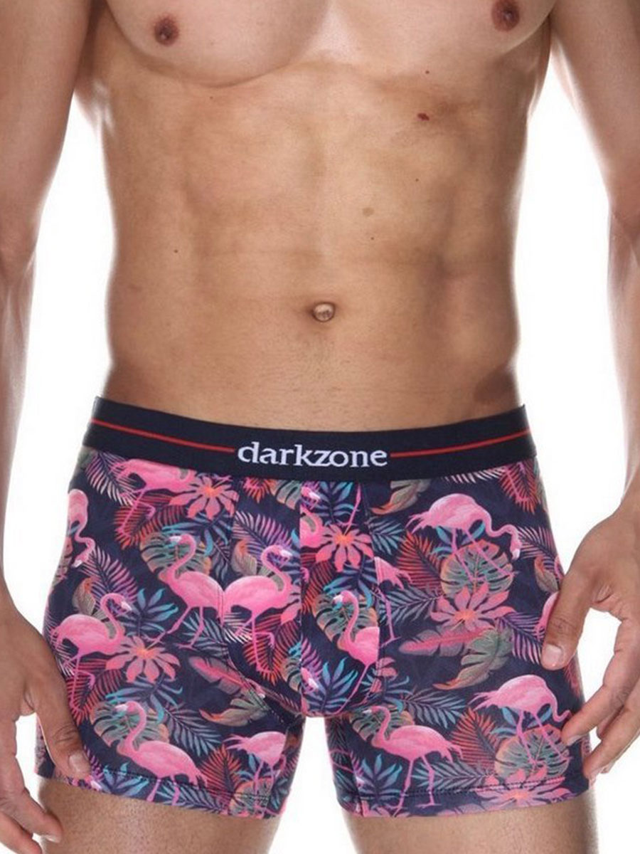 Мужские трусы боксеры разноцветные с принтом "фламинго" DARKZONE DZN2062